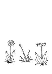 Learning Coloring Book 7847FA10 (12 Coloring Pages)