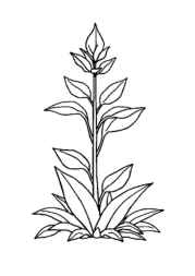 Living Room Coloring Book 9A3F0BA4 (12 Coloring Pages)