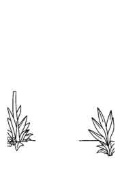 Loft Coloring Book D73E636D (12 Coloring Pages)