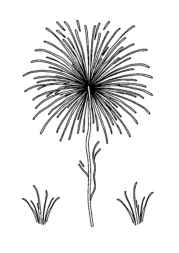 Lunar New Year Coloring Book 07D1C028 (12 Coloring Pages)