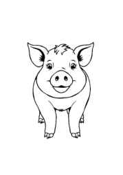 Meats Coloring Book 7E6643FE (12 Coloring Pages)