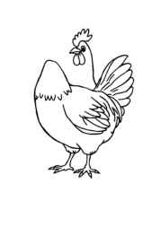 Meats Coloring Book 7E6643FE (12 Coloring Pages)