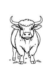 Meats Coloring Book 7E6643FE (12 Coloring Pages)