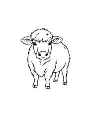 Meats Coloring Book E7BDC394 (12 Coloring Pages)