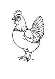 Meats Coloring Book E7BDC394 (12 Coloring Pages)