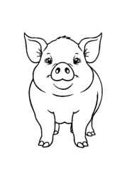 Meats Coloring Book E7BDC394 (12 Coloring Pages)