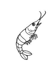 Meats Coloring Book E7BDC394 (12 Coloring Pages)