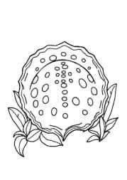 Mexican Food Coloring Book 6760102E (12 Coloring Pages)