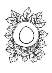 Mexican Food Coloring Book BE009DAB (12 Coloring Pages)