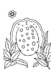 Mexican Food Coloring Book BE009DAB (12 Coloring Pages)