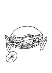 Mexican Food Coloring Book BE009DAB (12 Coloring Pages)