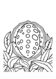 Mexican Food Coloring Book D538D943 (12 Coloring Pages)
