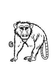 Monkeys and Apes Coloring Book 60A128B6 (12 Coloring Pages)