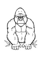 Monkeys and Apes Coloring Book 60A128B6 (12 Coloring Pages)