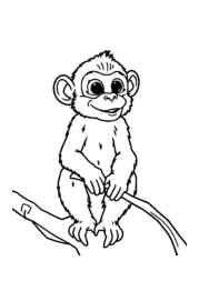 Monkeys and Apes Coloring Book 60A128B6 (12 Coloring Pages)