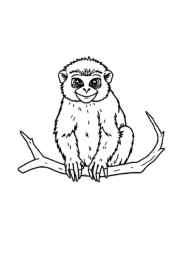 Monkeys and Apes Coloring Book 60A128B6 (12 Coloring Pages)