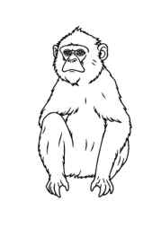 Monkeys and Apes Coloring Book 60A128B6 (12 Coloring Pages)