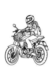 Motorcycles Coloring Book 12084569 (12 Coloring Pages)