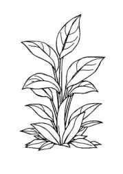 Mutants Coloring Book A1B96243 (12 Coloring Pages)