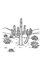 Natural Landscapes Coloring Book EAD20869 (12 Coloring Pages)
