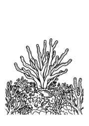 Natural Landscapes Coloring Book 736F262D (12 Coloring Pages)