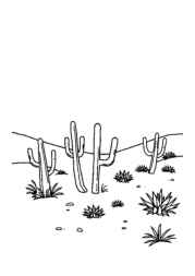 Natural Landscapes Coloring Book 736F262D (12 Coloring Pages)