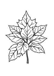 Nature Elements Coloring Book 9104C791 (12 Coloring Pages)