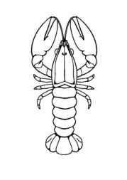 Ocean Animals Coloring Book 141DBAD2 (12 Coloring Pages)