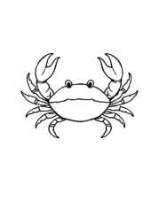 Ocean Animals Coloring Book 141DBAD2 (12 Coloring Pages)