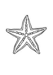 Ocean Animals Coloring Book 141DBAD2 (12 Coloring Pages)