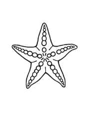 Ocean Animals Coloring Book 2830A077 (12 Coloring Pages)