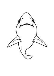 Ocean Animals Coloring Book 2830A077 (12 Coloring Pages)