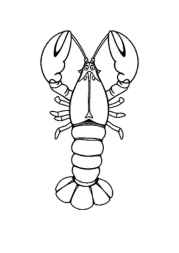 Ocean Animals Coloring Book 2830A077 (12 Coloring Pages)