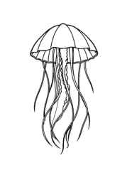 Ocean Animals Coloring Book 2830A077 (12 Coloring Pages)