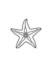 Ocean Animals Coloring Book 4C42FDFD (12 Coloring Pages)