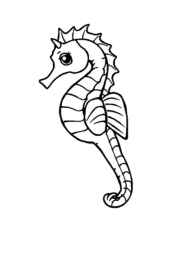 Ocean Animals Coloring Book 4C42FDFD (12 Coloring Pages)