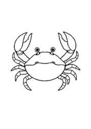 Ocean Animals Coloring Book 4C42FDFD (12 Coloring Pages)