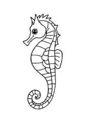 Ocean Animals Coloring Book 5A29D17E (12 Coloring Pages)