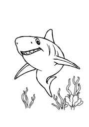 Ocean Animals Coloring Book 5A29D17E (12 Coloring Pages)