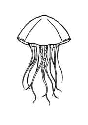 Ocean Animals Coloring Book 5A29D17E (12 Coloring Pages)