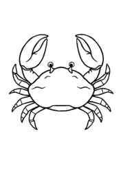 Ocean Animals Coloring Book 5A29D17E (12 Coloring Pages)