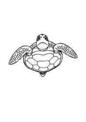 Ocean Animals Coloring Book 5A29D17E (12 Coloring Pages)