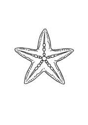 Ocean Animals Coloring Book 5A29D17E (12 Coloring Pages)