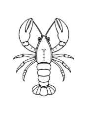 Ocean Animals Coloring Book 5A29D17E (12 Coloring Pages)