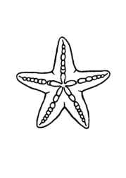 Ocean Animals Coloring Book DA0393A7 (12 Coloring Pages)