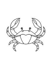 Ocean Animals Coloring Book DA0393A7 (12 Coloring Pages)