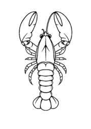 Ocean Animals Coloring Book DA0393A7 (12 Coloring Pages)