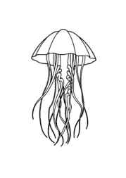 Ocean Animals Coloring Book DA0393A7 (12 Coloring Pages)