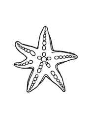 Ocean Animals Coloring Book ECFFCF7E (12 Coloring Pages)