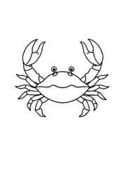 Ocean Animals Coloring Book ECFFCF7E (12 Coloring Pages)